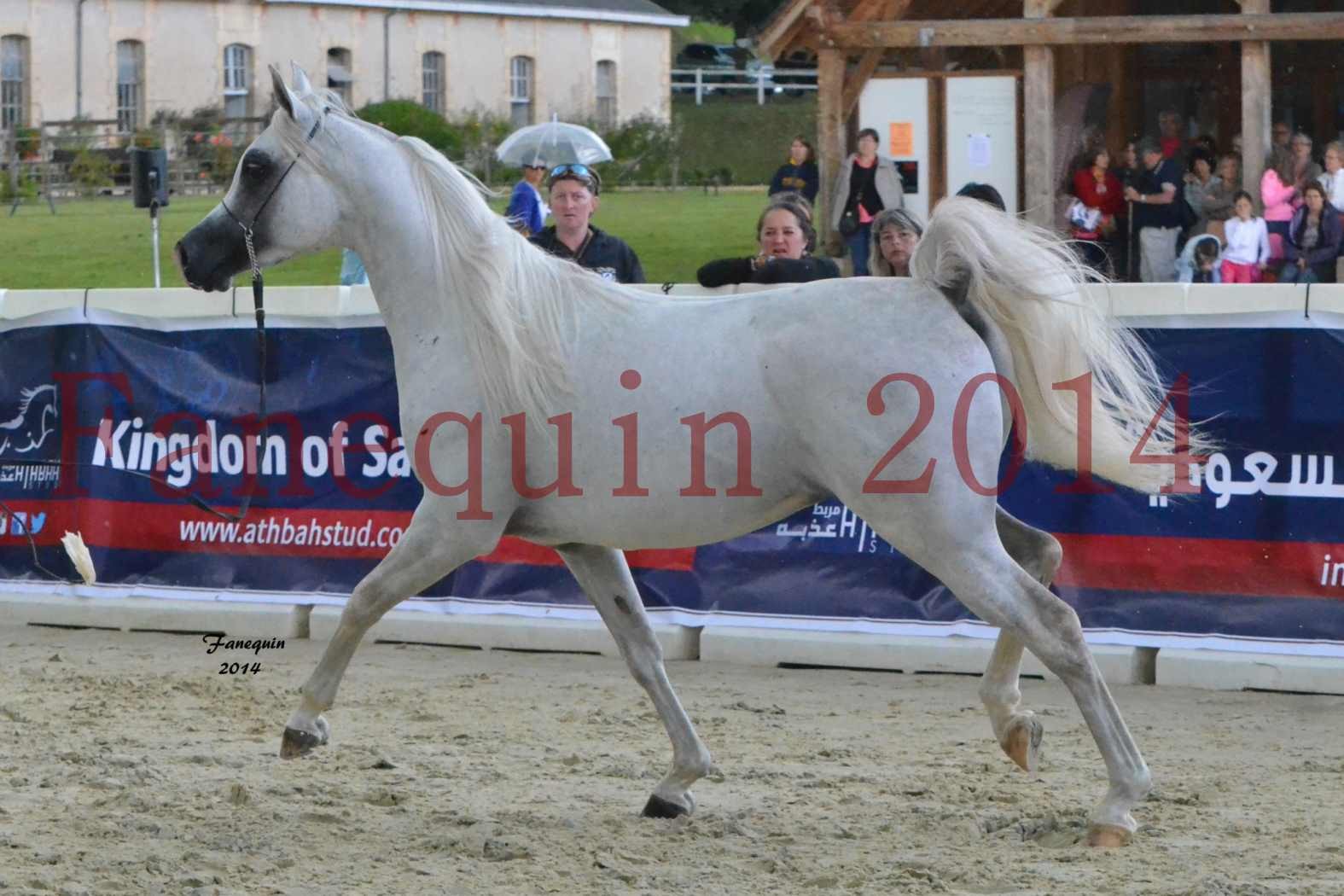 CHAMPIONNAT DE FRANCE 2014 A POMPADOUR - Notre Sélection - FA STARLIGHT - 5