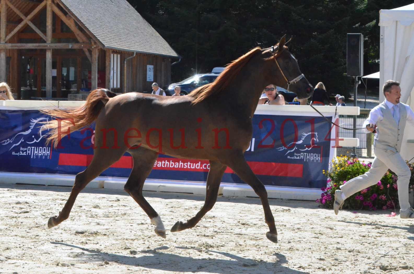 Championnat de FRANCE 2014 - Amateurs - LAMAL - 11