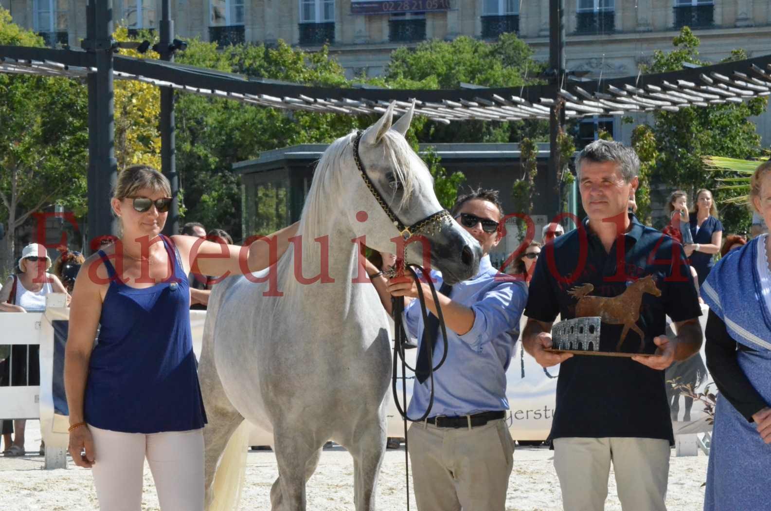 Concours national de Nîmes 2014 - Championnat Femelles Juniors - VOLODIA DE LAFON - 23