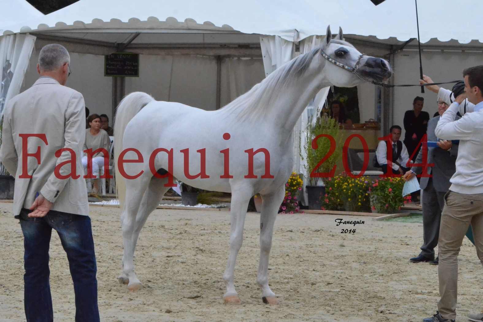 ﻿CHAMPIONNAT DE FRANCE 2014 A POMPADOUR - Notre Sélection - BLEUENN MILIN AVEL - 06