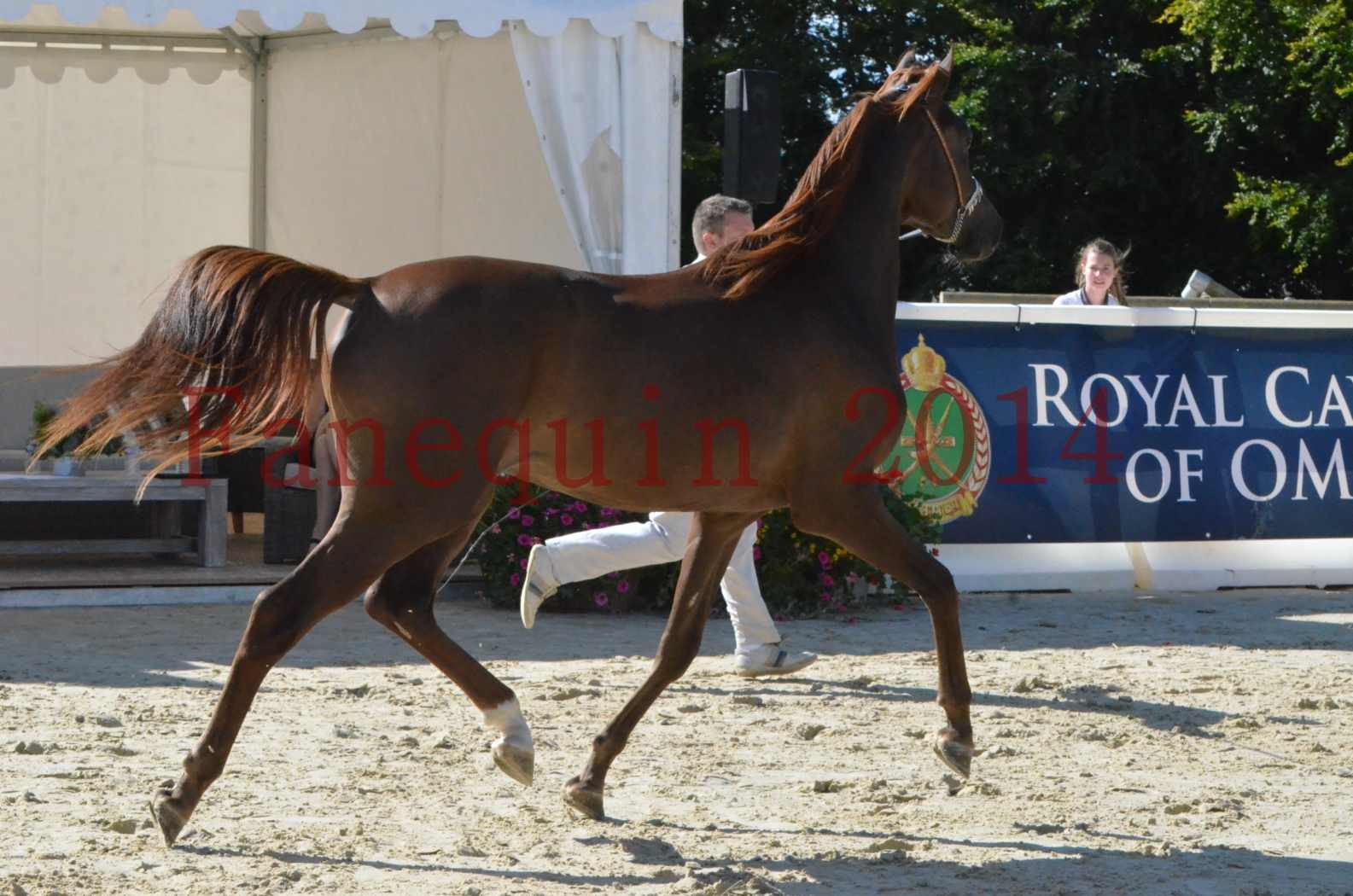 Championnat de FRANCE 2014 - Amateurs - LAMAL - 42