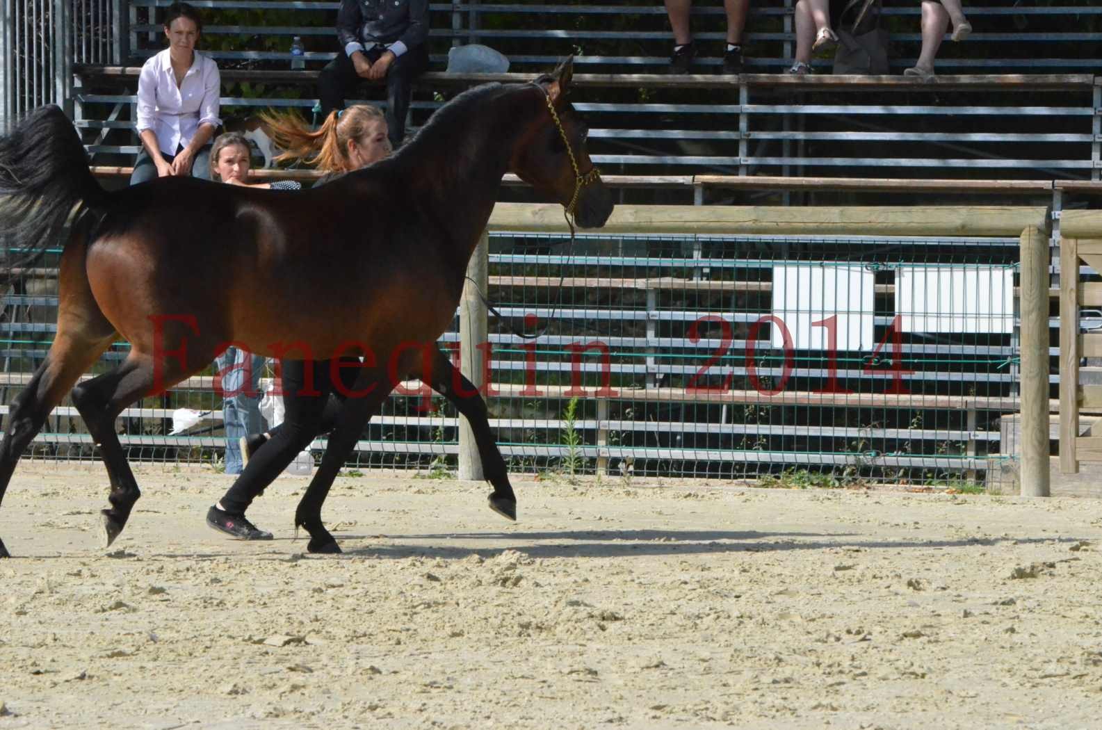 Championnat de FRANCE 2014 - Amateurs - JA KHALEB - 23