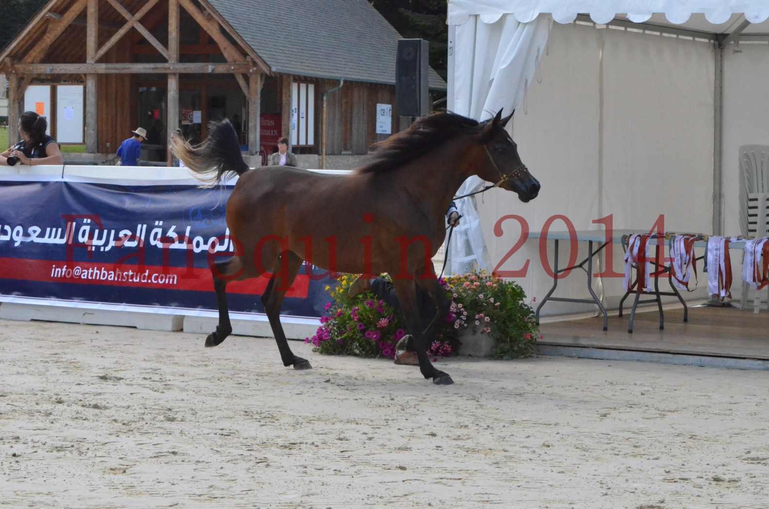 Championnat de FRANCE 2014 - Amateurs - KAL'ELLE D'ELHORIA - 07