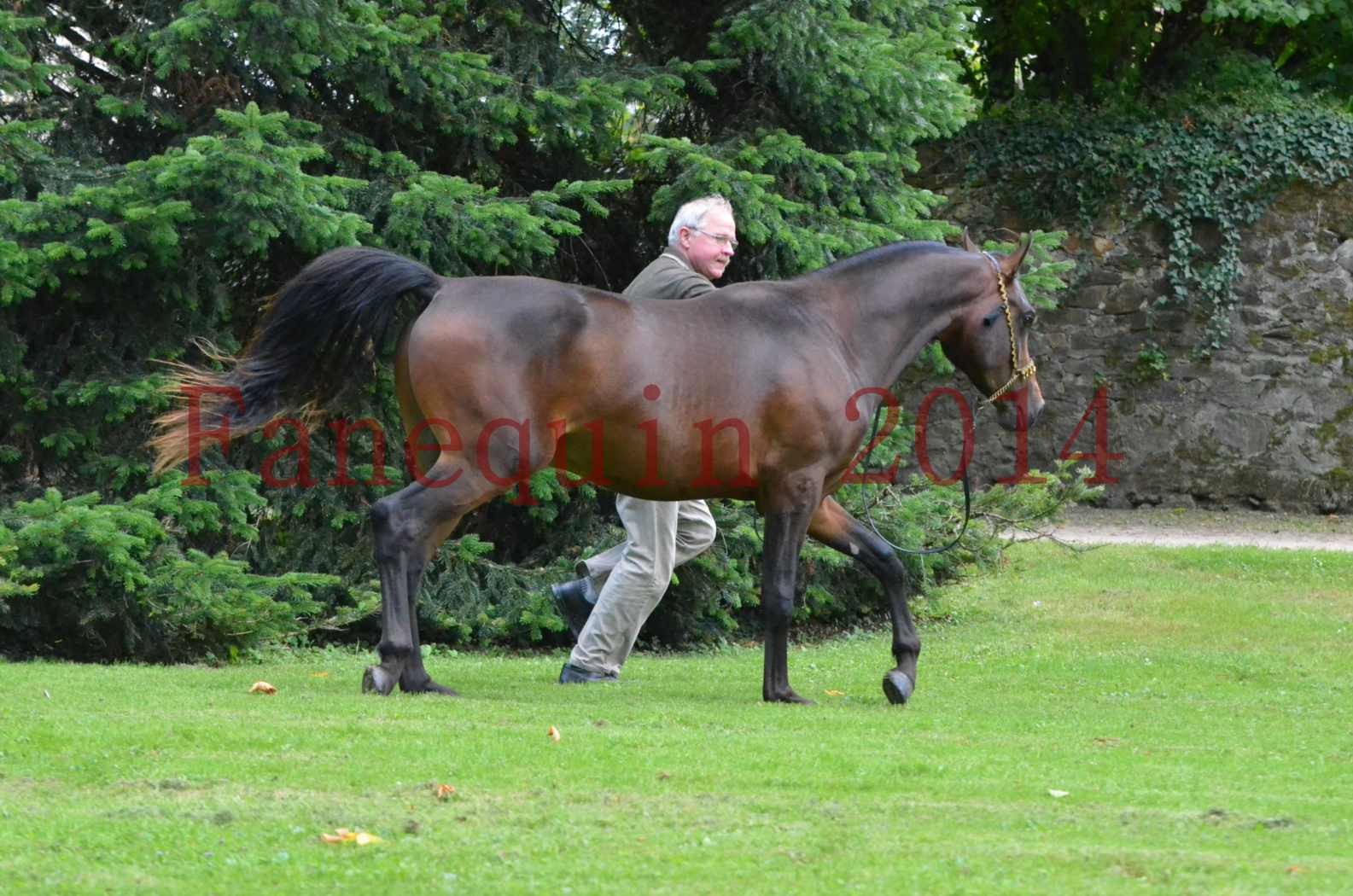 Championnat de FRANCE 2014 - Amateurs - JA KHALEB - 82