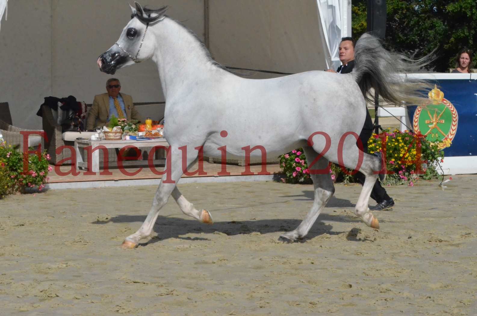 CHAMPIONNAT DE FRANCE  2014 A POMPADOUR - Sélection - SHAOLIN DE NEDJAIA - 22