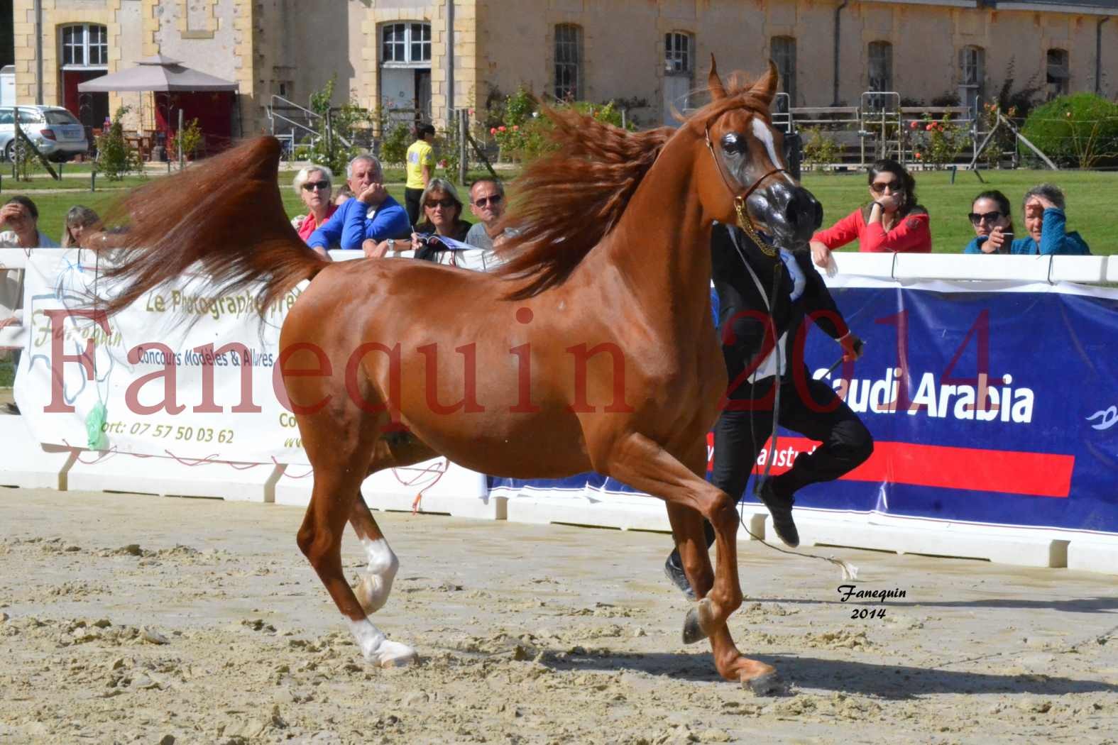 ﻿CHAMPIONNAT DE FRANCE 2014 A POMPADOUR - Notre Sélection - KINSHASA JA - 01