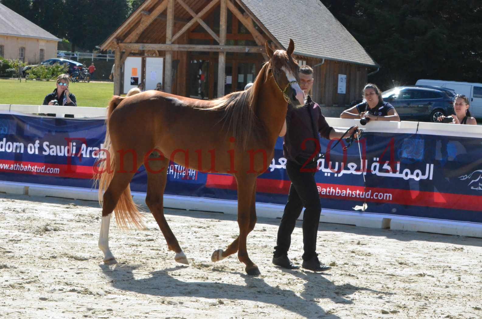 Championnat de FRANCE 2014 - Amateurs - SELECTO IBN SAMAWI - 020