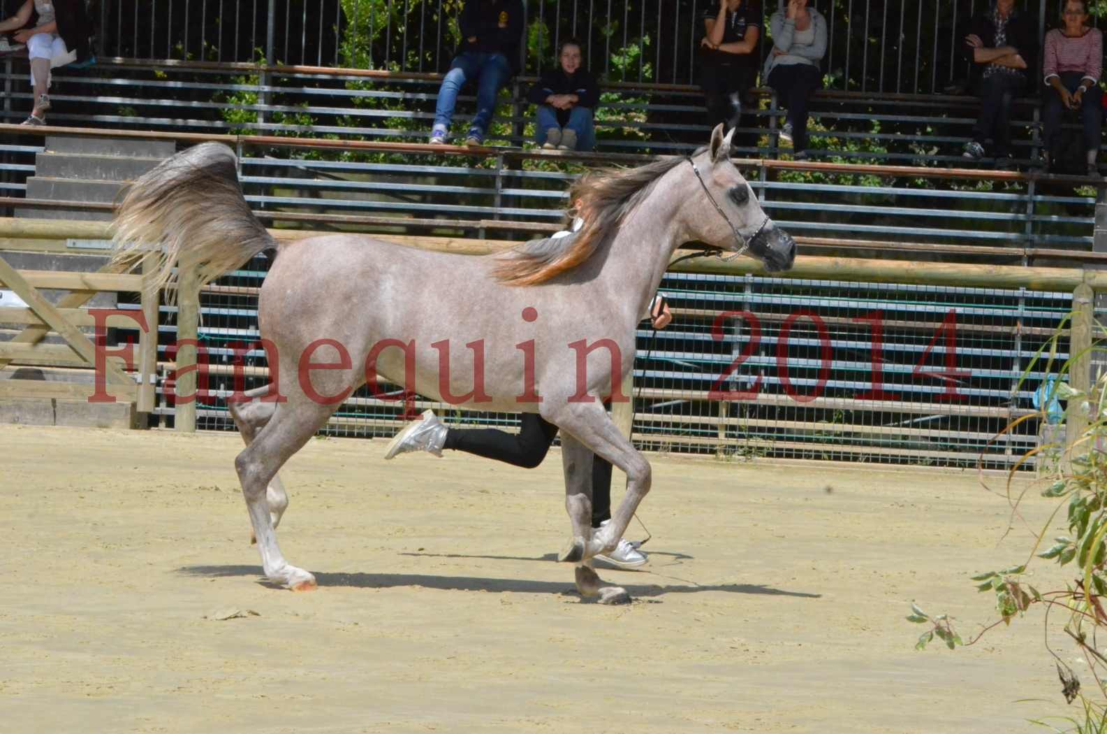 Championnat de FRANCE 2014 - Amateurs - SANA ISHANE - 31