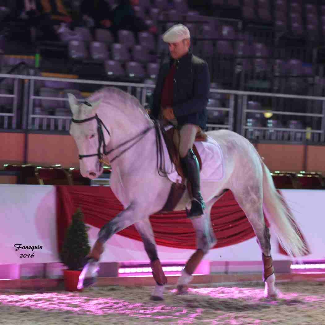 Cheval Passion 2016 - Présentation des LUSITANIENS - Ecurie de Max VENDRELL & Corinne BOUCHITTE - 16
