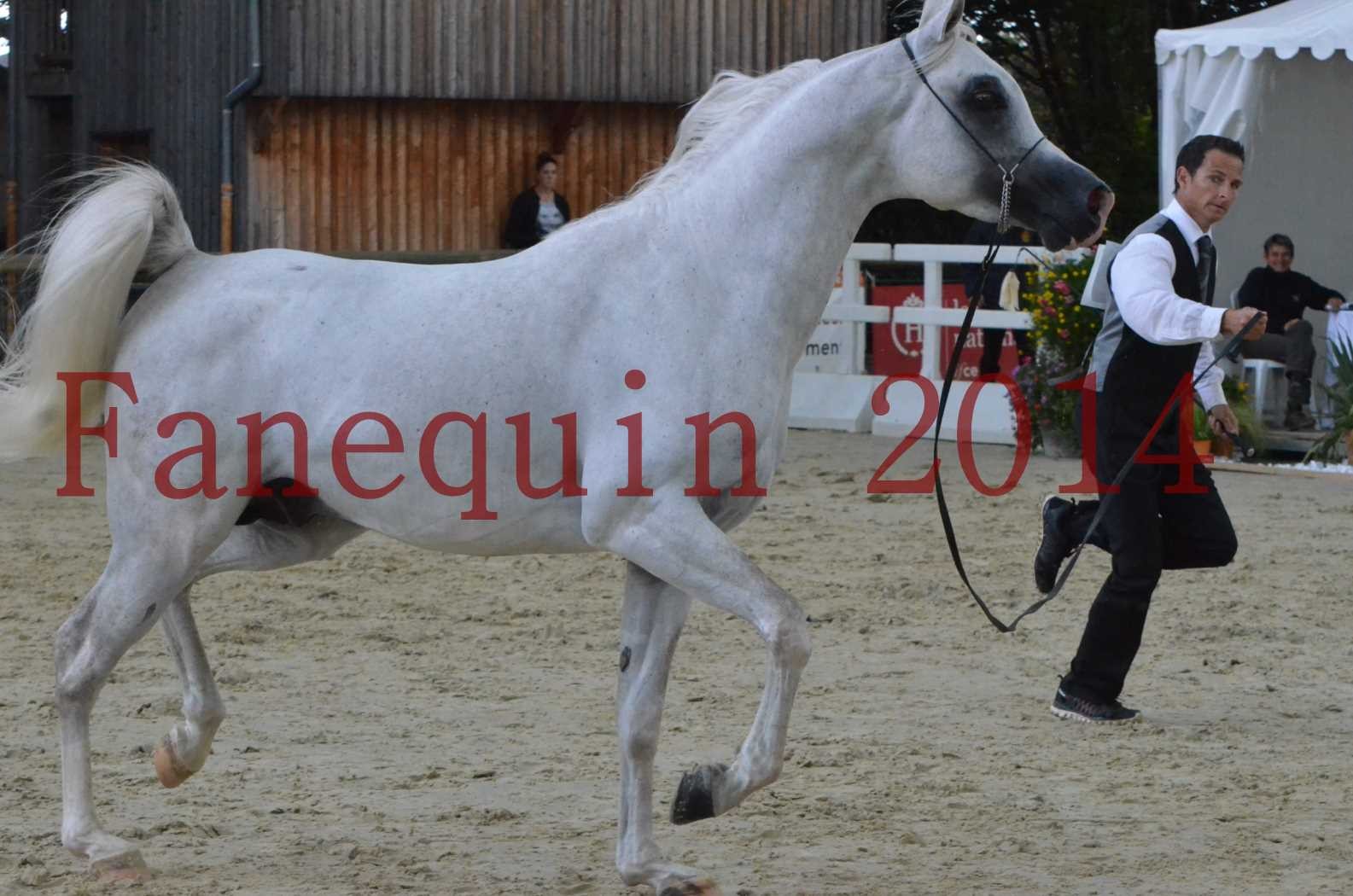 CHAMPIONNAT DE FRANCE 2014 A POMPADOUR - Sélection - FA STARLIGHT - 15