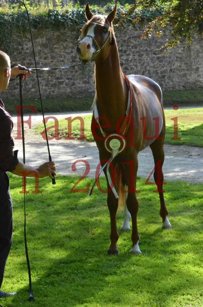 Championnat de FRANCE 2014 - Amateurs - SELECTO IBN SAMAWI - 186