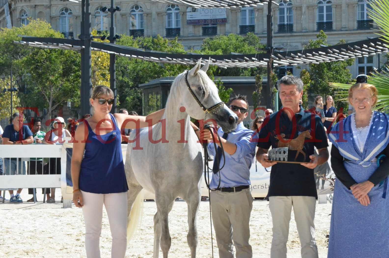 Concours national de Nîmes 2014 - Championnat Femelles Juniors - VOLODIA DE LAFON - 24