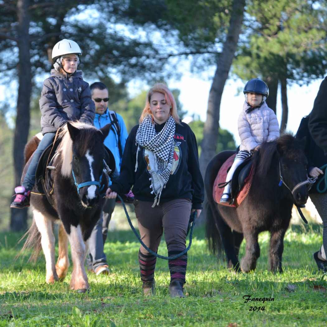 Marchés de Noël 2014 - Promenades en Poneys à Pignan - 27