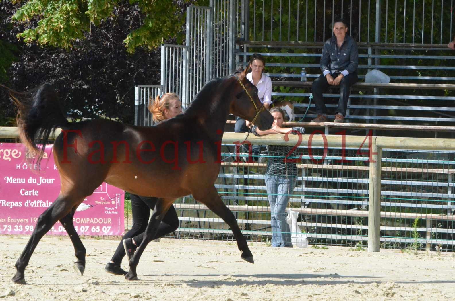 Championnat de FRANCE 2014 - Amateurs - JA KHALEB - 21