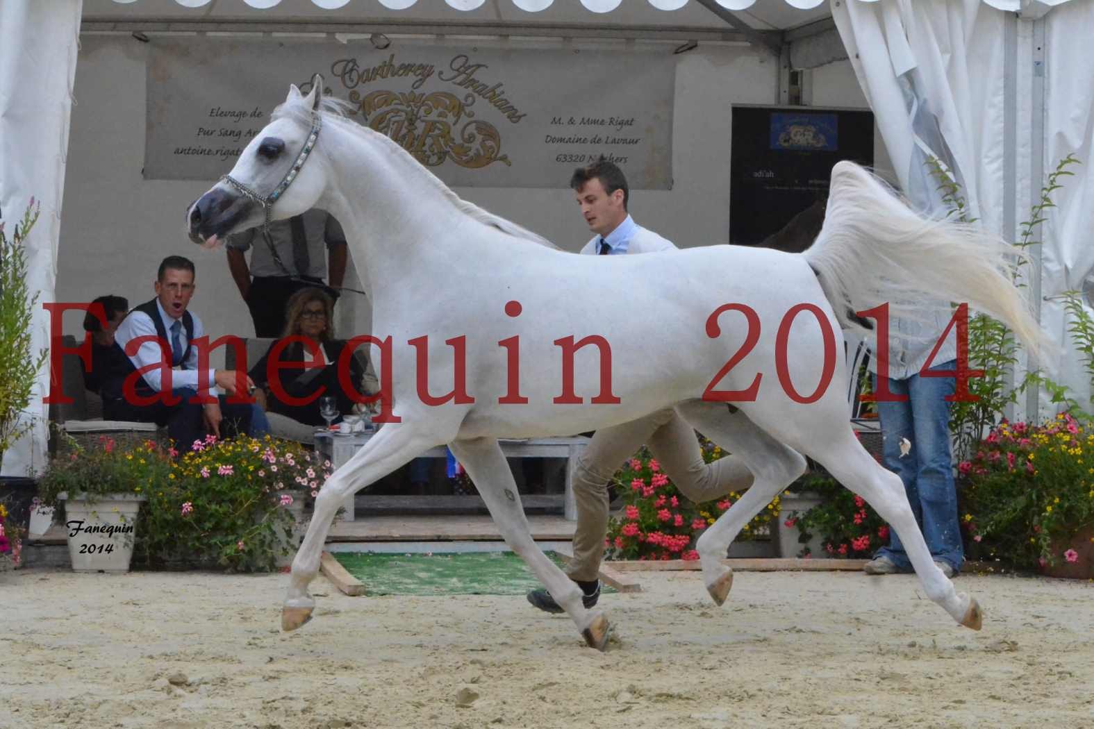 ﻿CHAMPIONNAT DE FRANCE 2014 A POMPADOUR - Notre Sélection - BLEUENN MILIN AVEL - 04