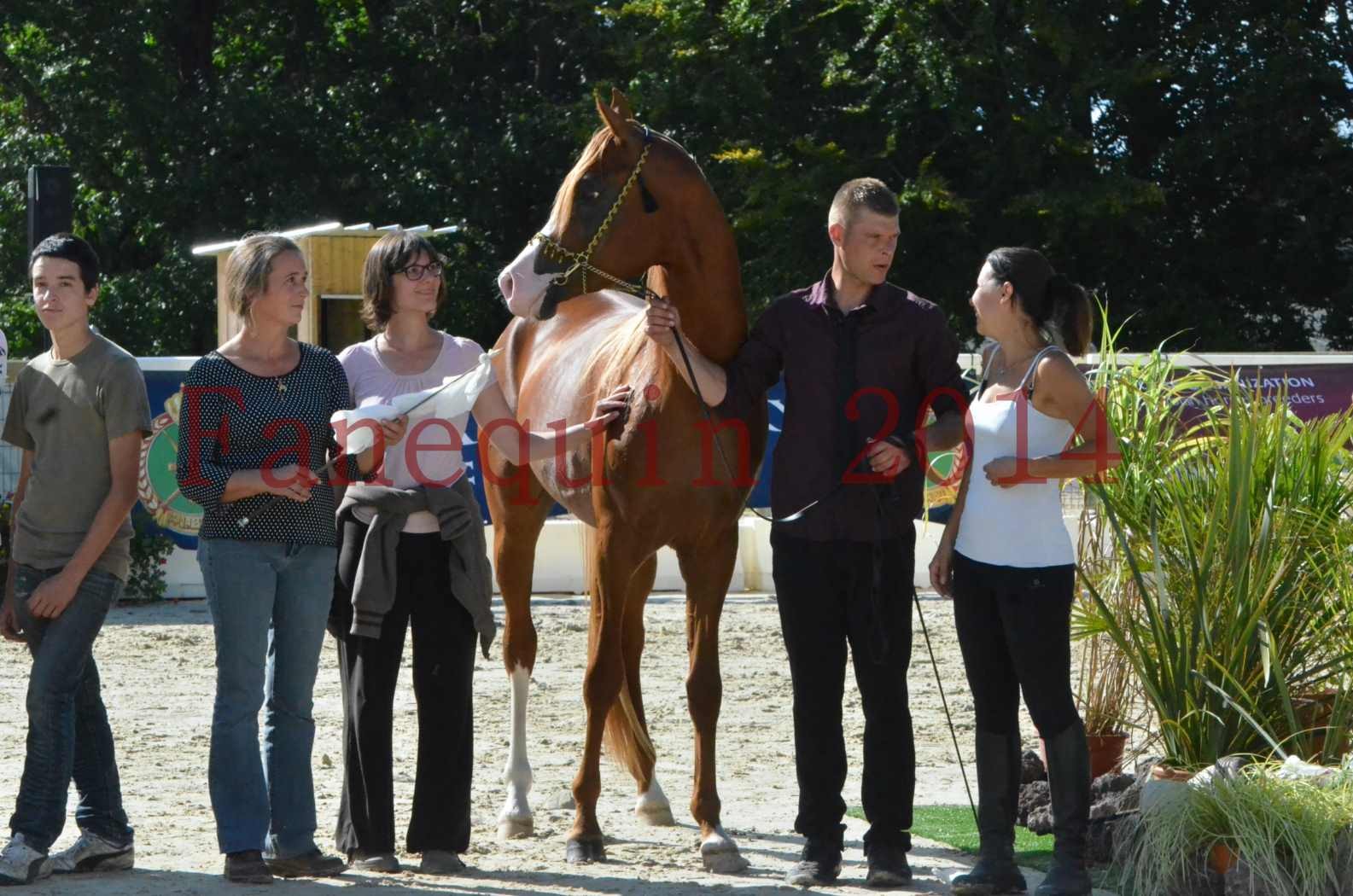 Championnat de FRANCE 2014 - Amateurs - SELECTO IBN SAMAWI - 088