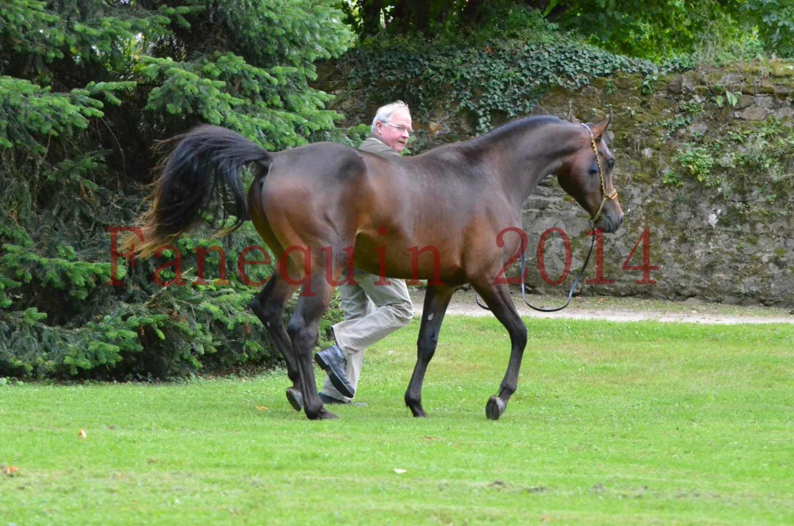 Championnat de FRANCE 2014 - Amateurs - JA KHALEB - 84