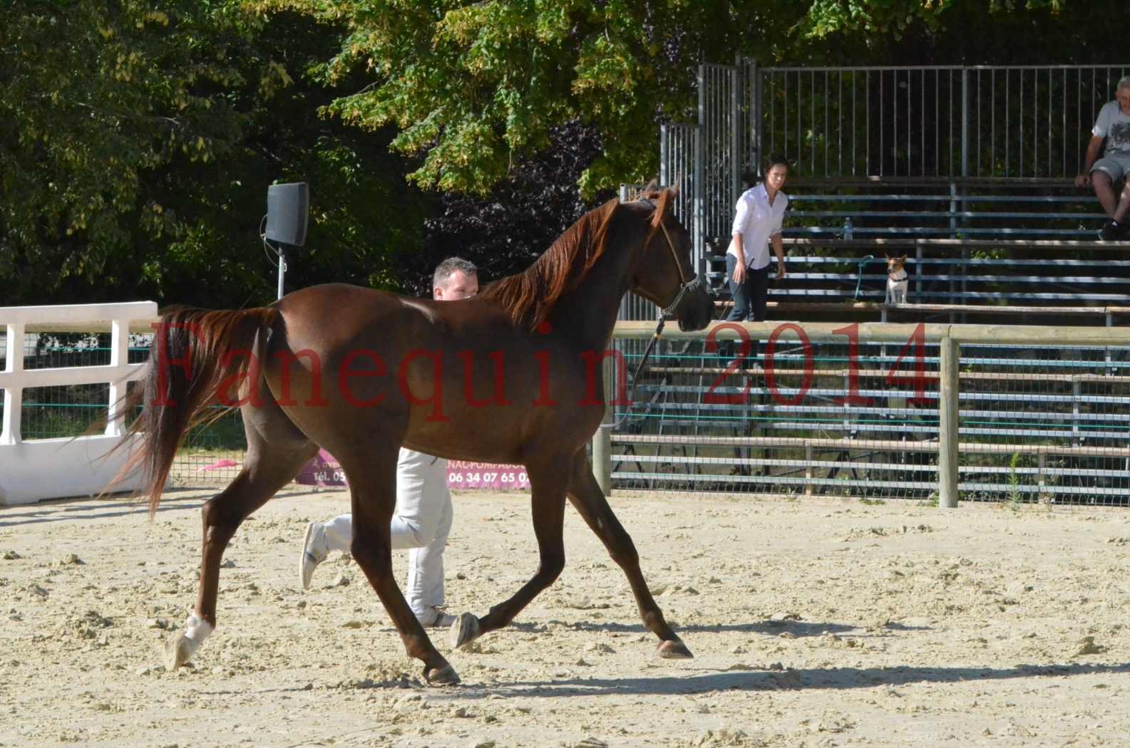 Championnat de FRANCE 2014 - Amateurs - LAMAL - 48