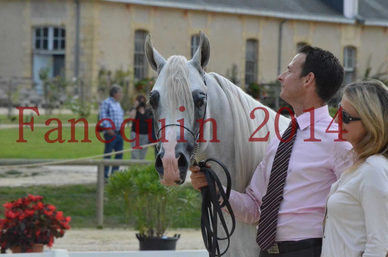 CHAMPIONNAT DE FRANCE 2014 A POMPADOUR - Championnat - FA STARLIGHT - 13