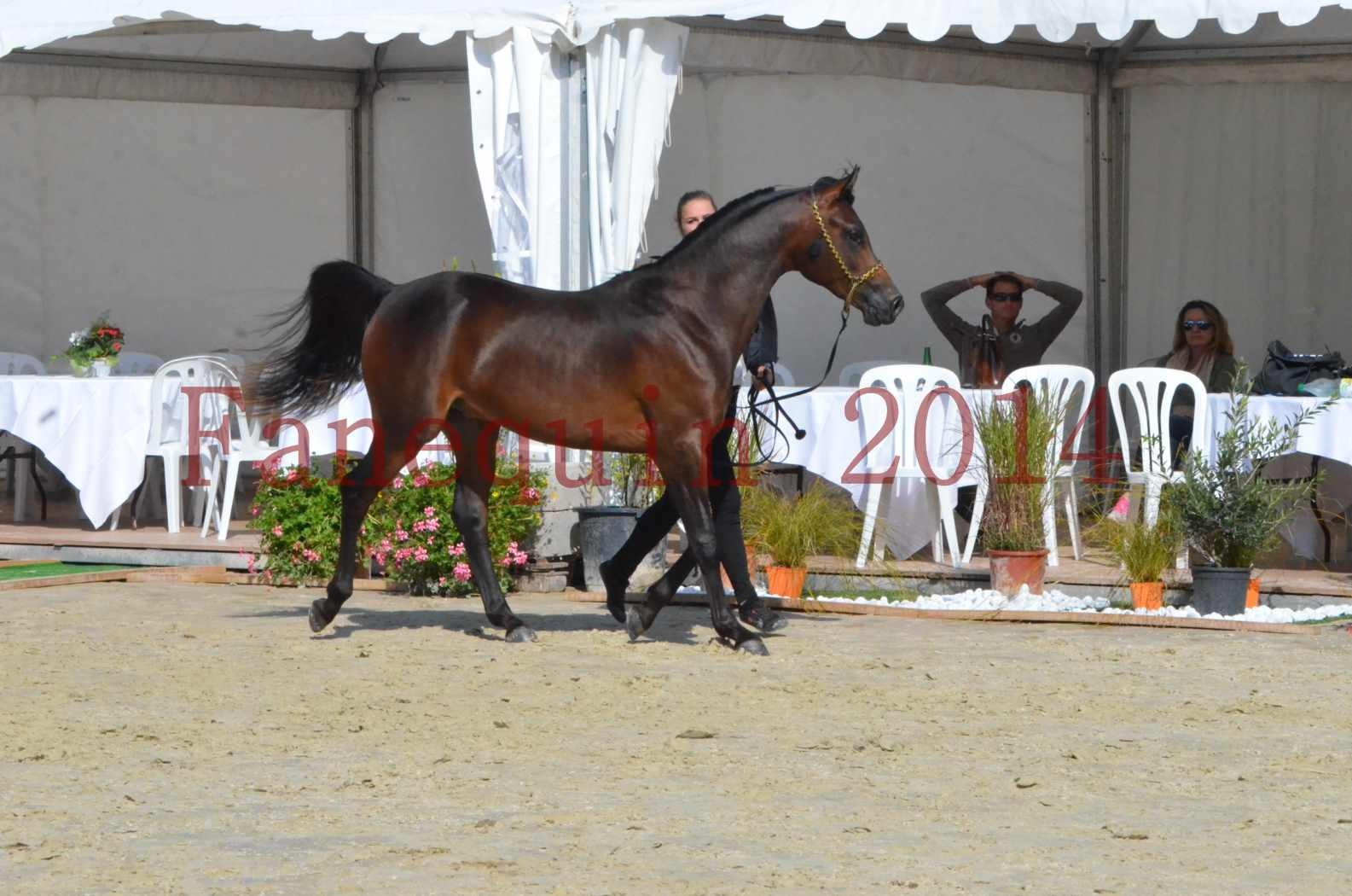 Championnat de FRANCE 2014 - Amateurs - JA KHALEB - 28