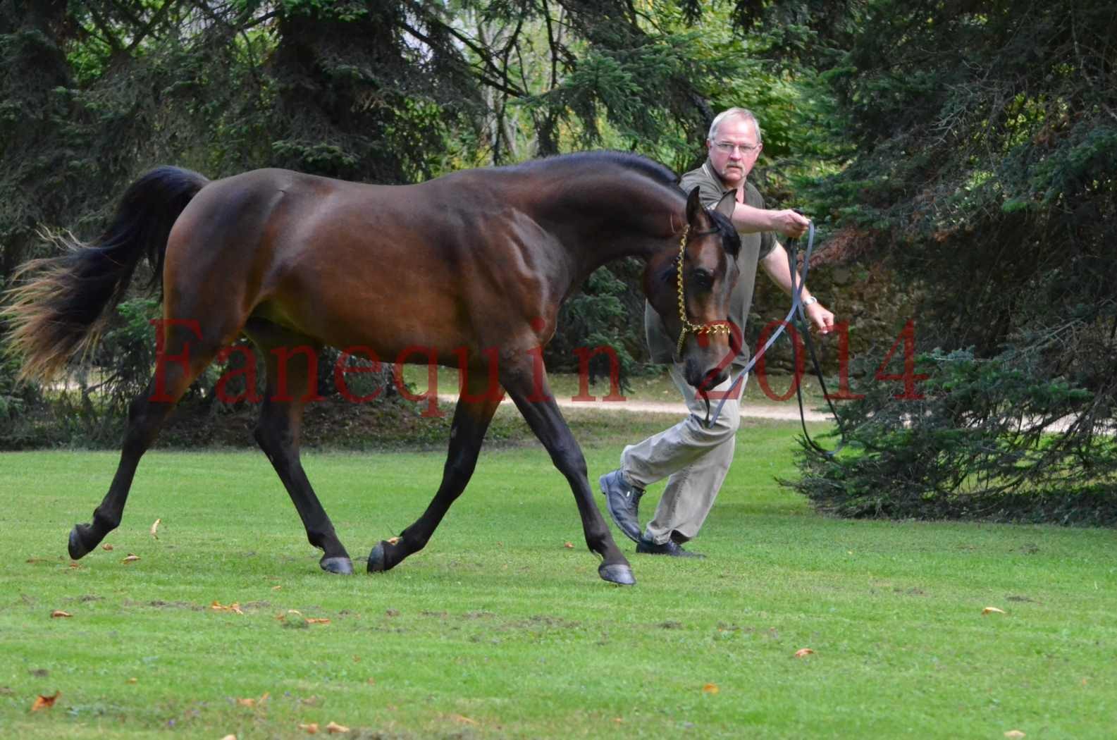 Championnat de FRANCE 2014 - Amateurs - JA KHALEB - 71