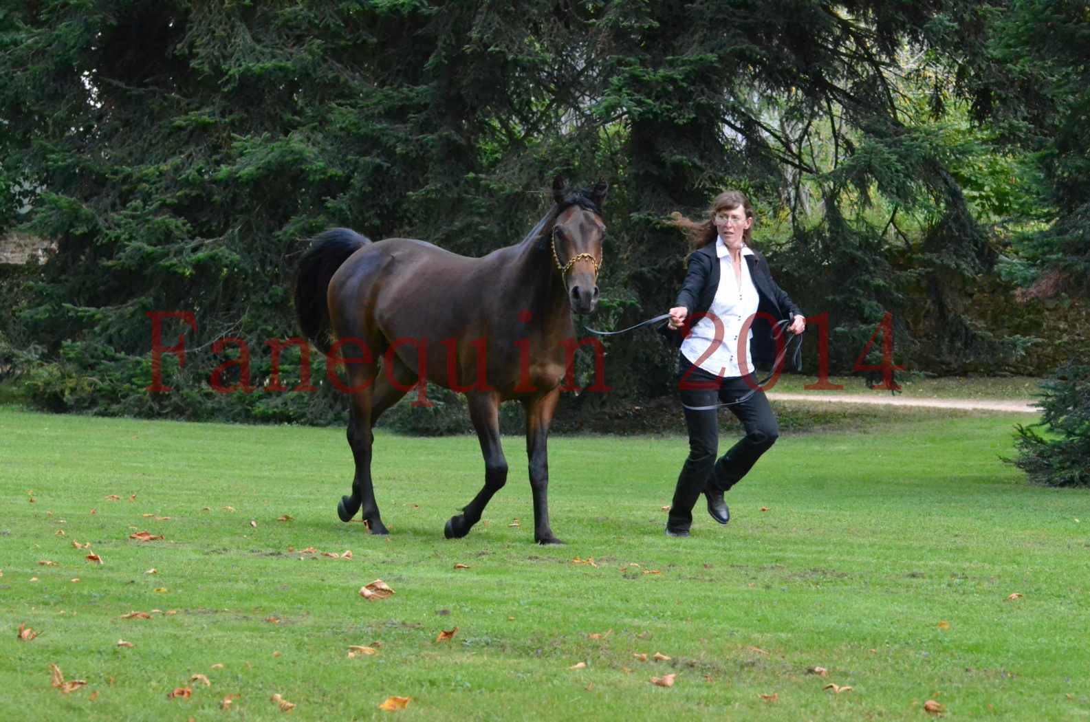 Championnat de FRANCE 2014 - Amateurs - JA KHALEB - 63