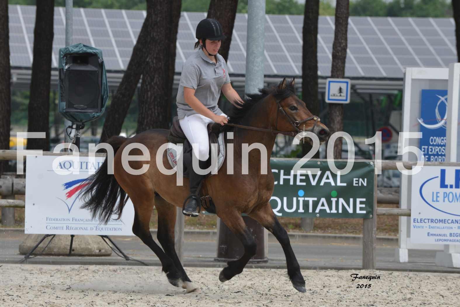 Salon Equitaine de Bordeaux 2015 - concours confirmation de Poneys Landais
