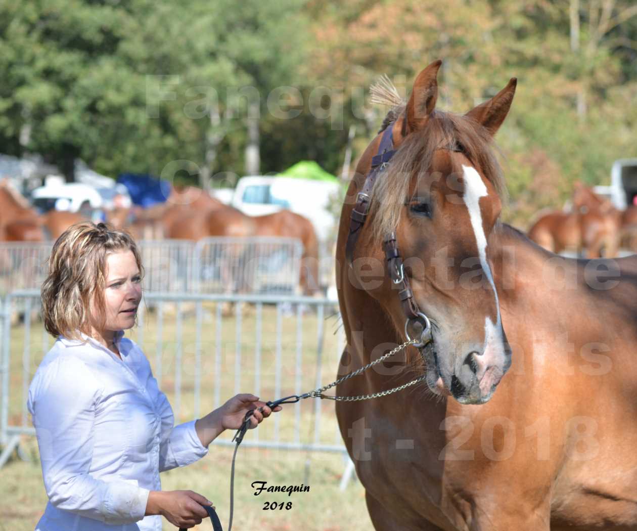 Concours départemental de chevaux de traits à GRAULHET en 2018 - Marjorie DEFRANCE - Notre Sélection - Portraits - 2