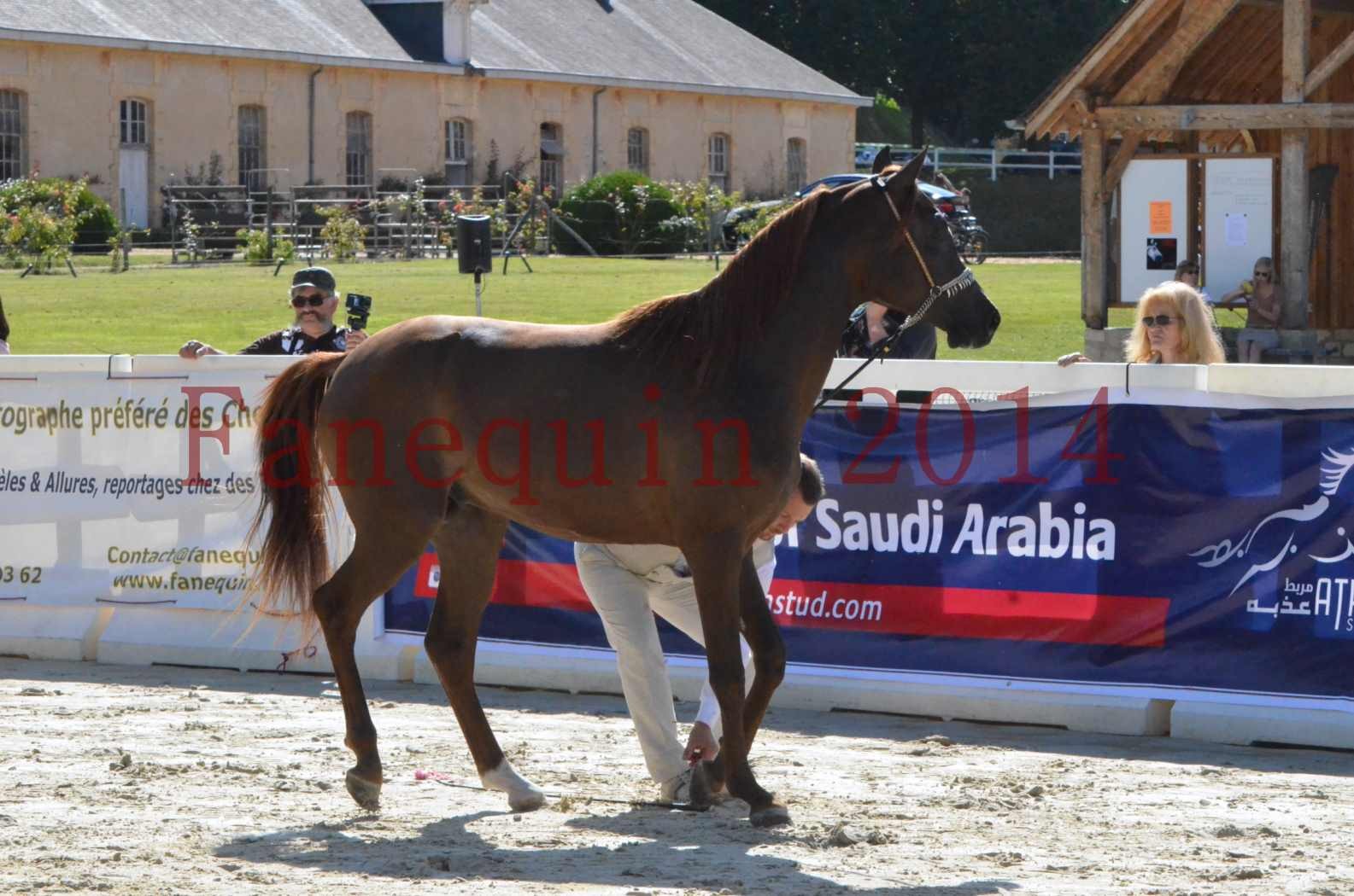 Championnat de FRANCE 2014 - Amateurs - LAMAL - 24