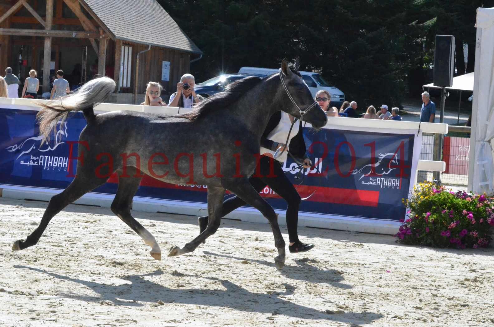 Championnat de FRANCE 2014 - Amateurs - CHTI KAID D'AUBIN - 31