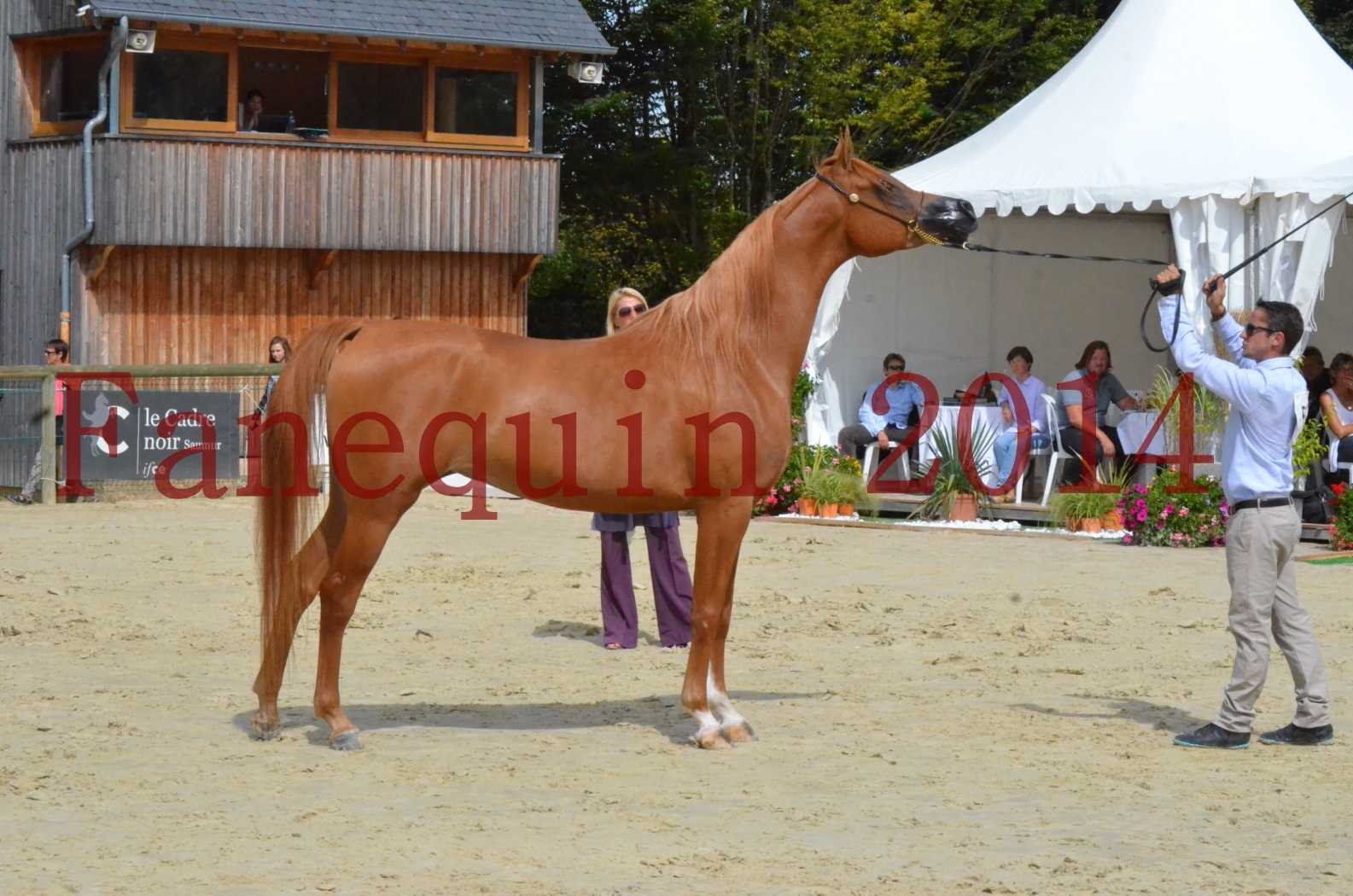 ﻿CHAMPIONNAT DE FRANCE 2014 A POMPADOUR - Championnat - LUTFINAH JA - 39