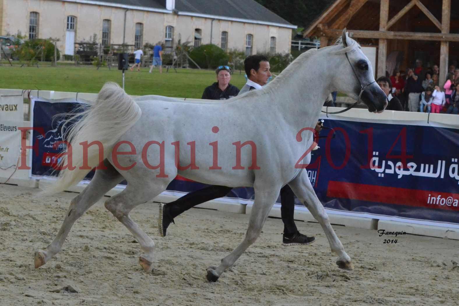 CHAMPIONNAT DE FRANCE 2014 A POMPADOUR - Notre Sélection - FA STARLIGHT - 2