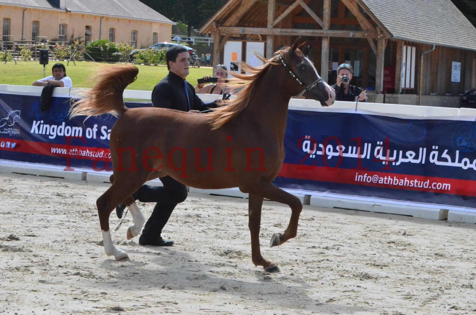 Championnat de FRANCE 2014 - Amateurs - ANTARCTIC DES AUBUS - 06