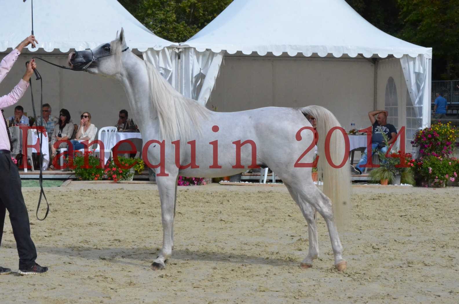 CHAMPIONNAT DE FRANCE 2014 A POMPADOUR - Championnat - FA STARLIGHT - 09