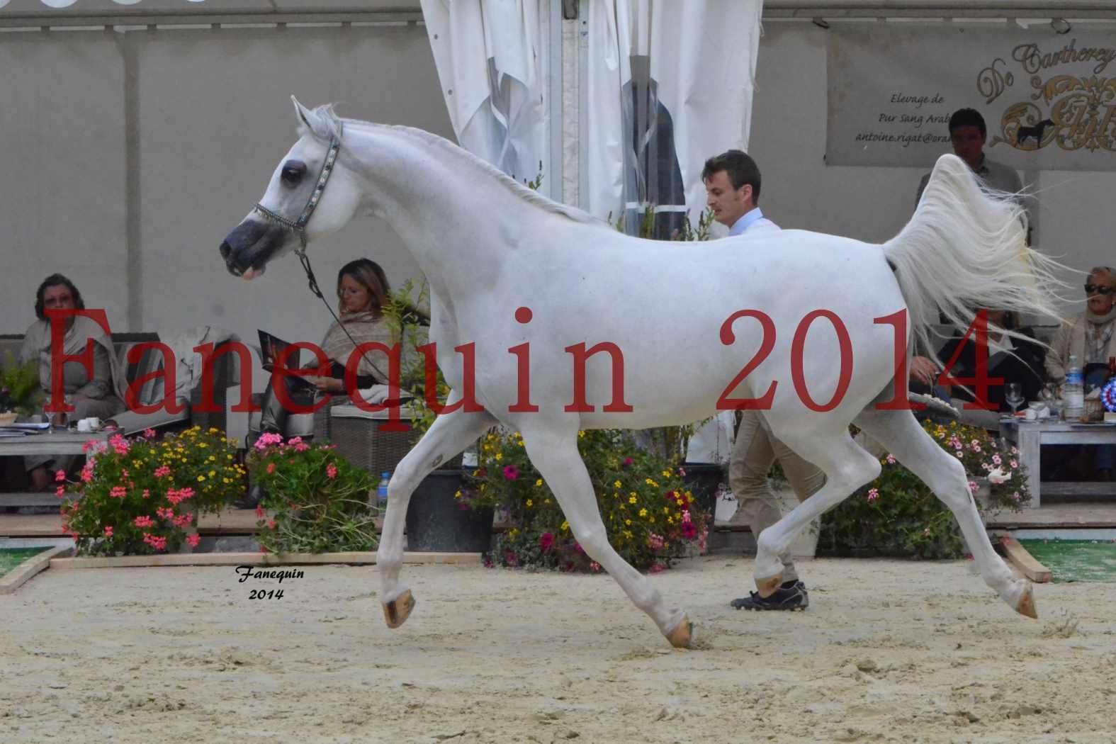 ﻿CHAMPIONNAT DE FRANCE 2014 A POMPADOUR - Notre Sélection - BLEUENN MILIN AVEL - 05