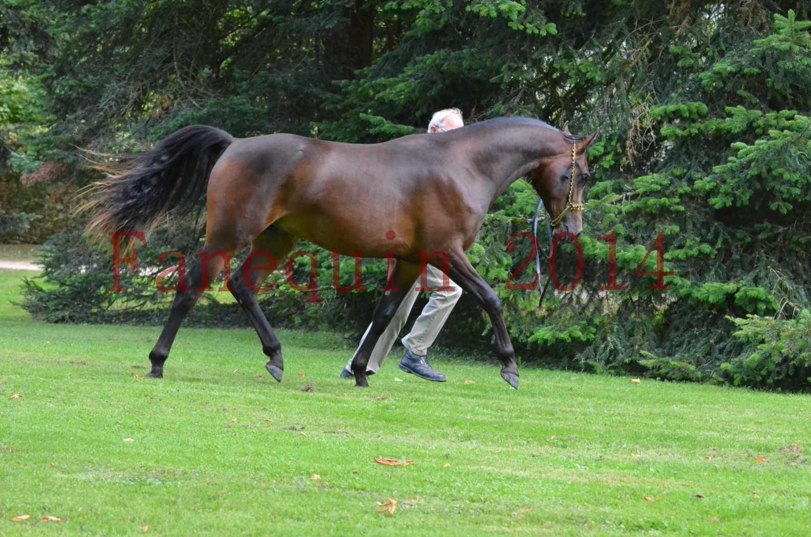 Championnat de FRANCE 2014 - Amateurs - JA KHALEB - 86