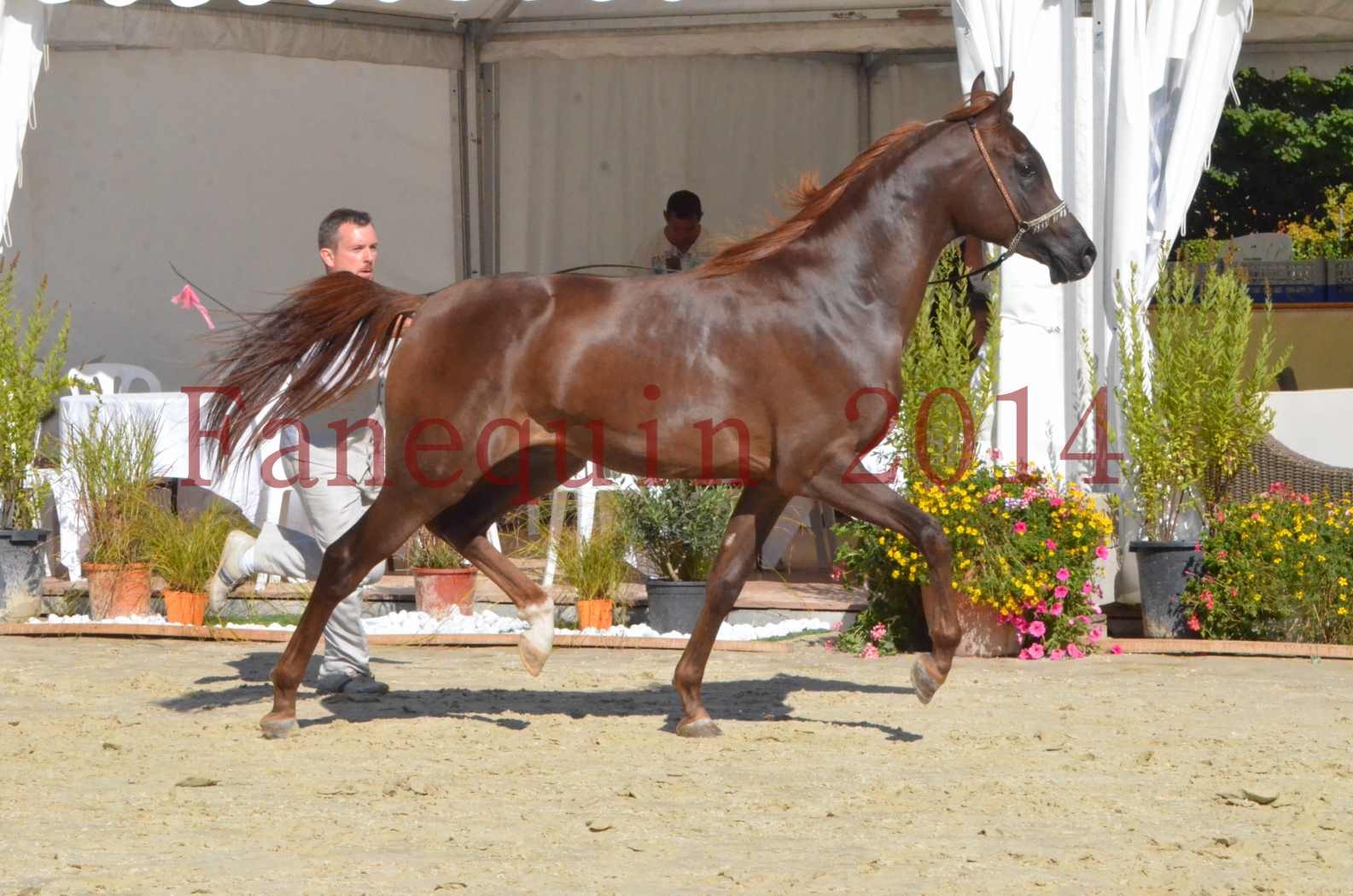 Championnat de FRANCE 2014 - Amateurs - LAMAL - 56