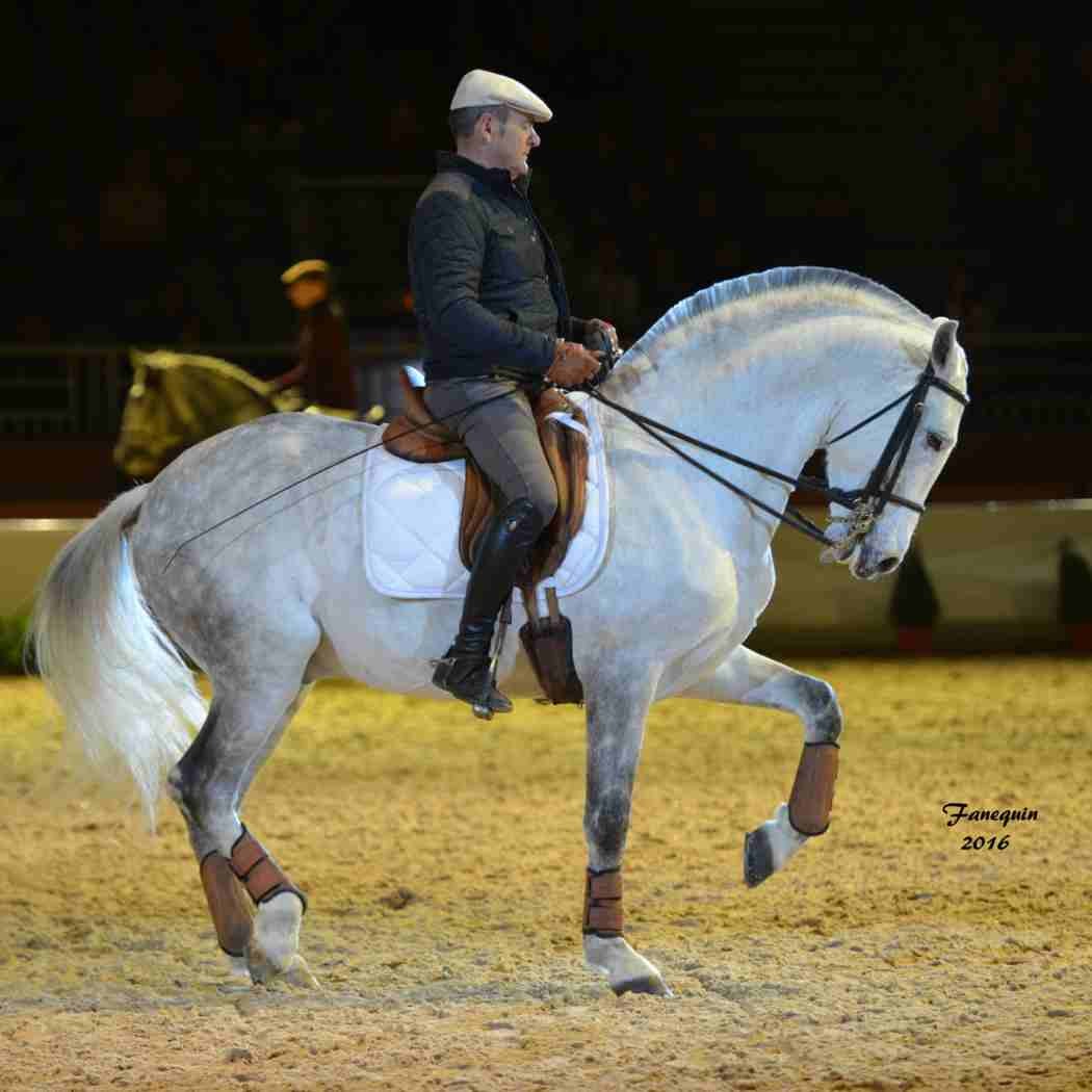Cheval Passion 2016 - Présentation des LUSITANIENS - Ecurie de Max VENDRELL & Corinne BOUCHITTE - 31