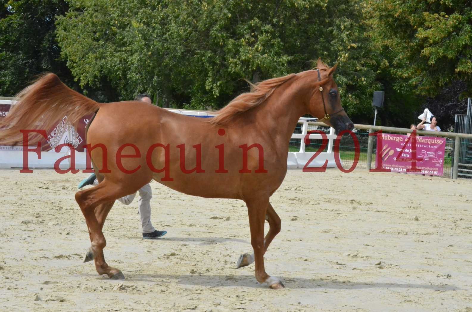 ﻿CHAMPIONNAT DE FRANCE 2014 A POMPADOUR - Championnat - LUTFINAH JA - 26