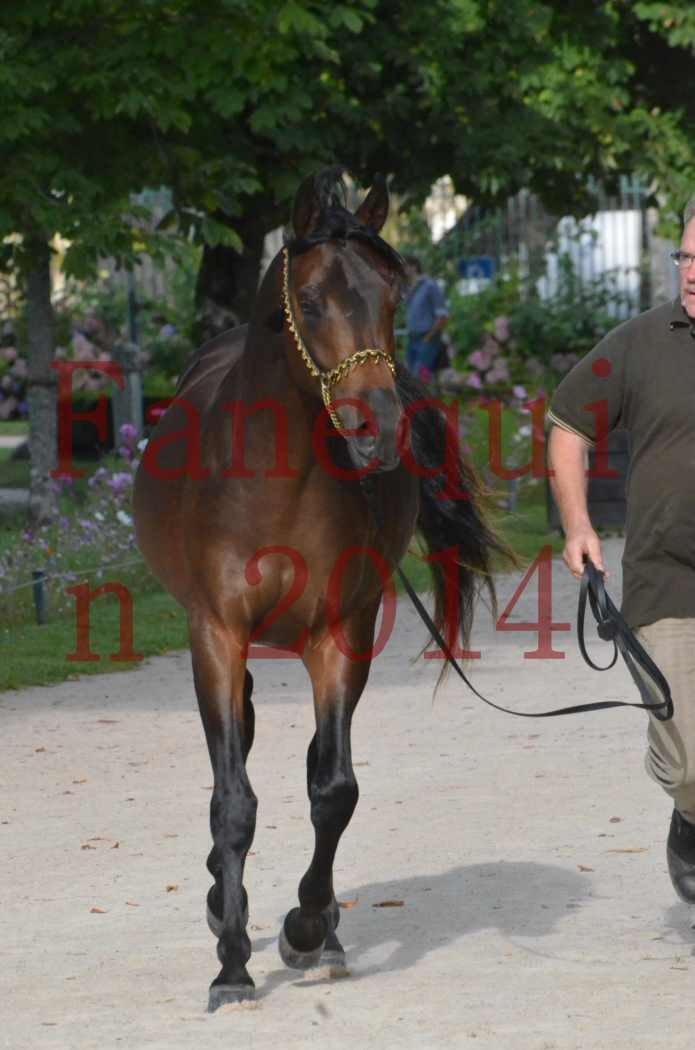 Championnat de FRANCE 2014 - Amateurs - JA KHALEB - 44