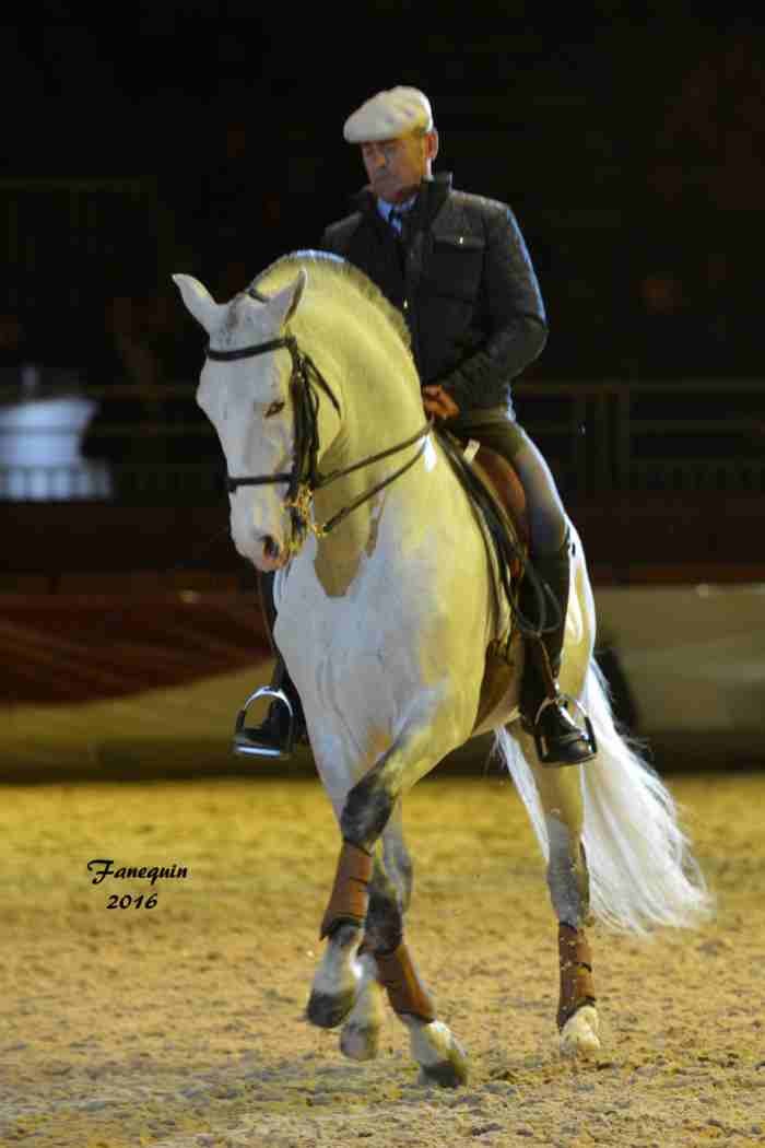 Cheval Passion 2016 - Présentation des LUSITANIENS - Ecurie de Max VENDRELL & Corinne BOUCHITTE - 34