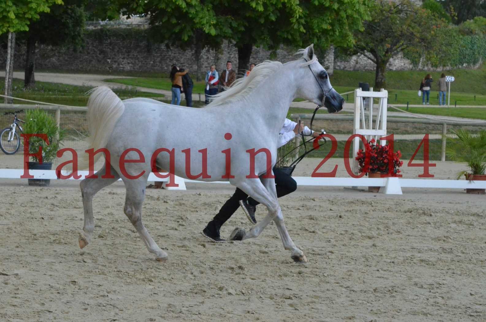 CHAMPIONNAT DE FRANCE 2014 A POMPADOUR - Sélection - FA STARLIGHT - 06