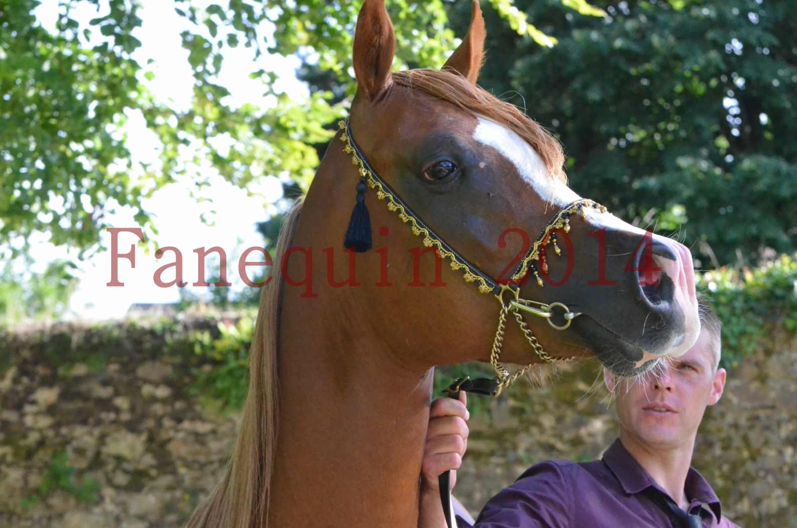 Championnat de FRANCE 2014 - Amateurs - SELECTO IBN SAMAWI - 156