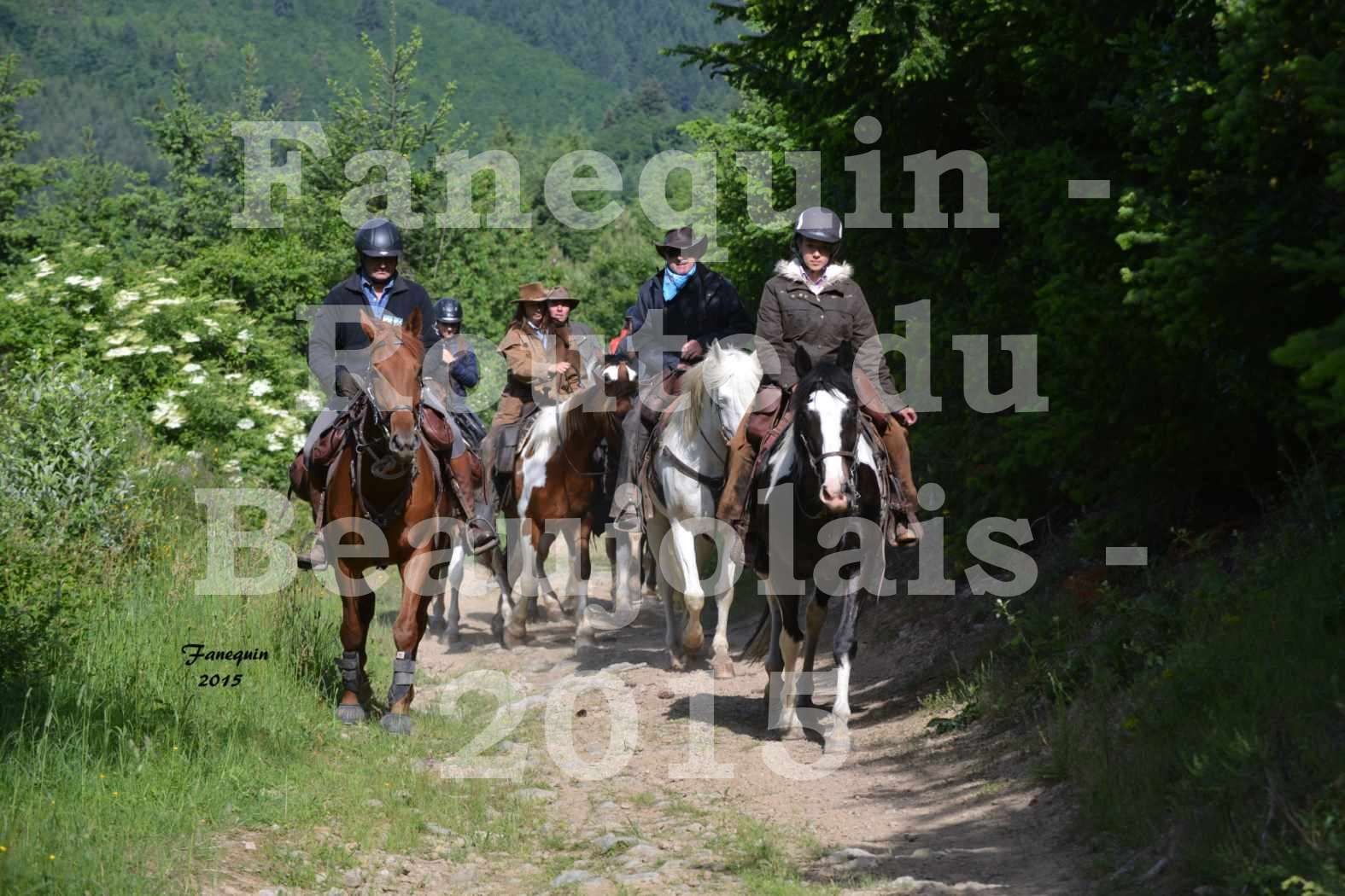 Route du Beaujolais 2015 - plusieurs cavaliers - samedi matin