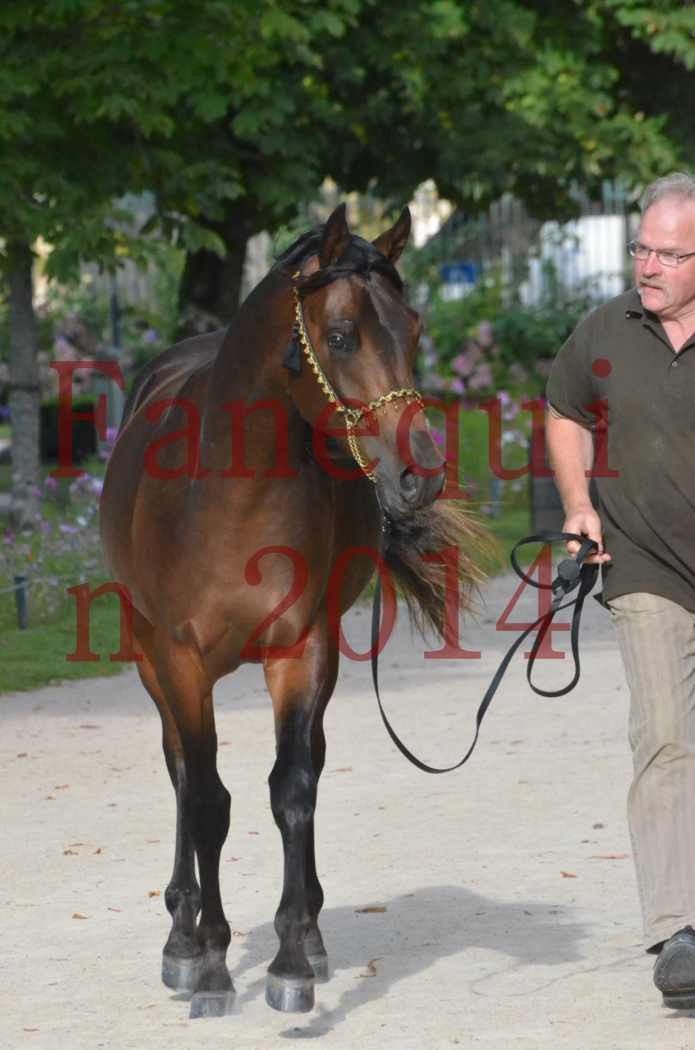 Championnat de FRANCE 2014 - Amateurs - JA KHALEB - 45