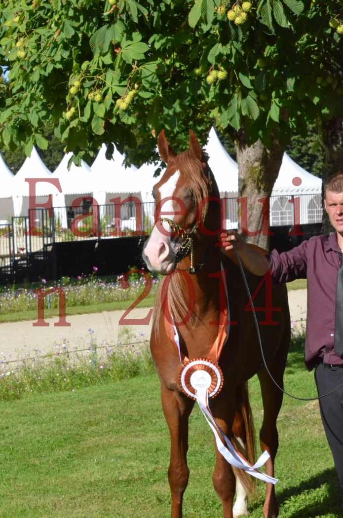 Championnat de FRANCE 2014 - Amateurs - SELECTO IBN SAMAWI - 205