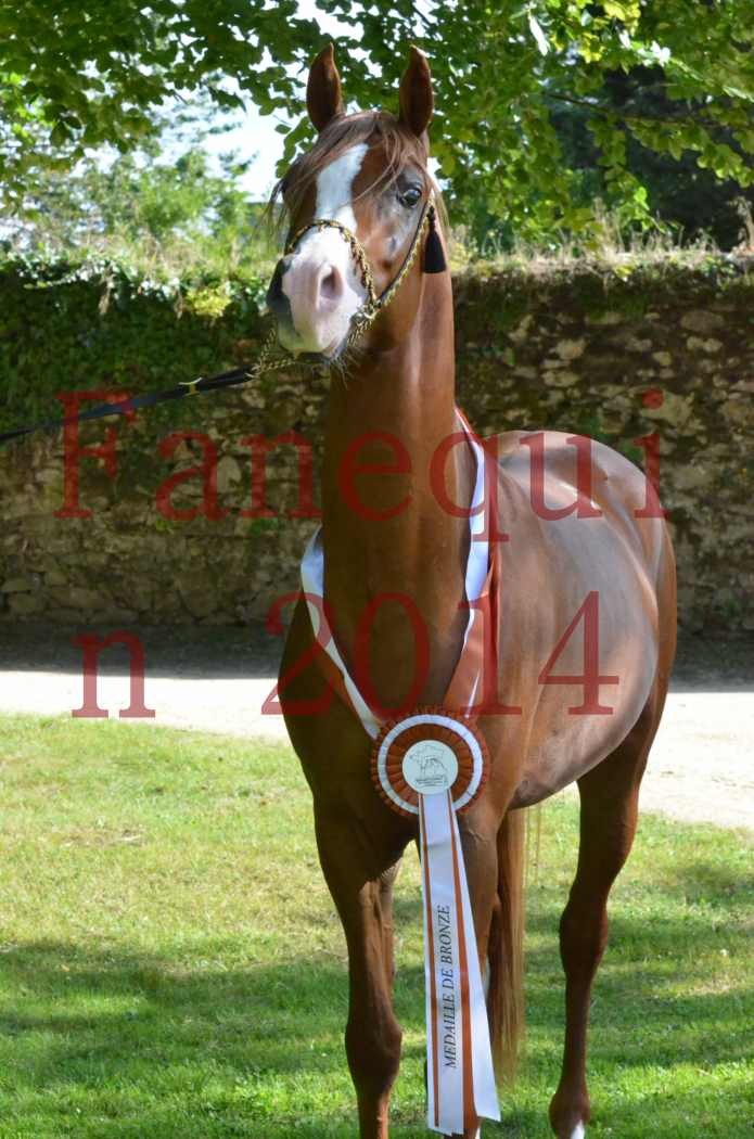 Championnat de FRANCE 2014 - Amateurs - SELECTO IBN SAMAWI - 174