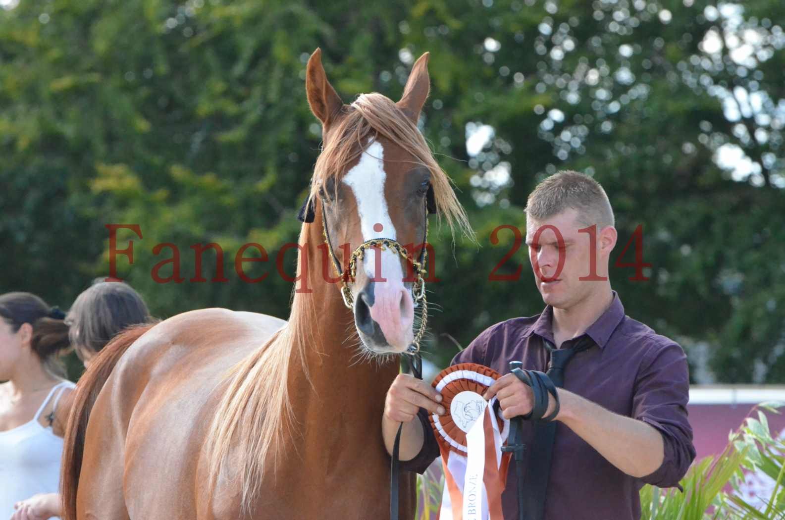 Championnat de FRANCE 2014 - Amateurs - SELECTO IBN SAMAWI - 105