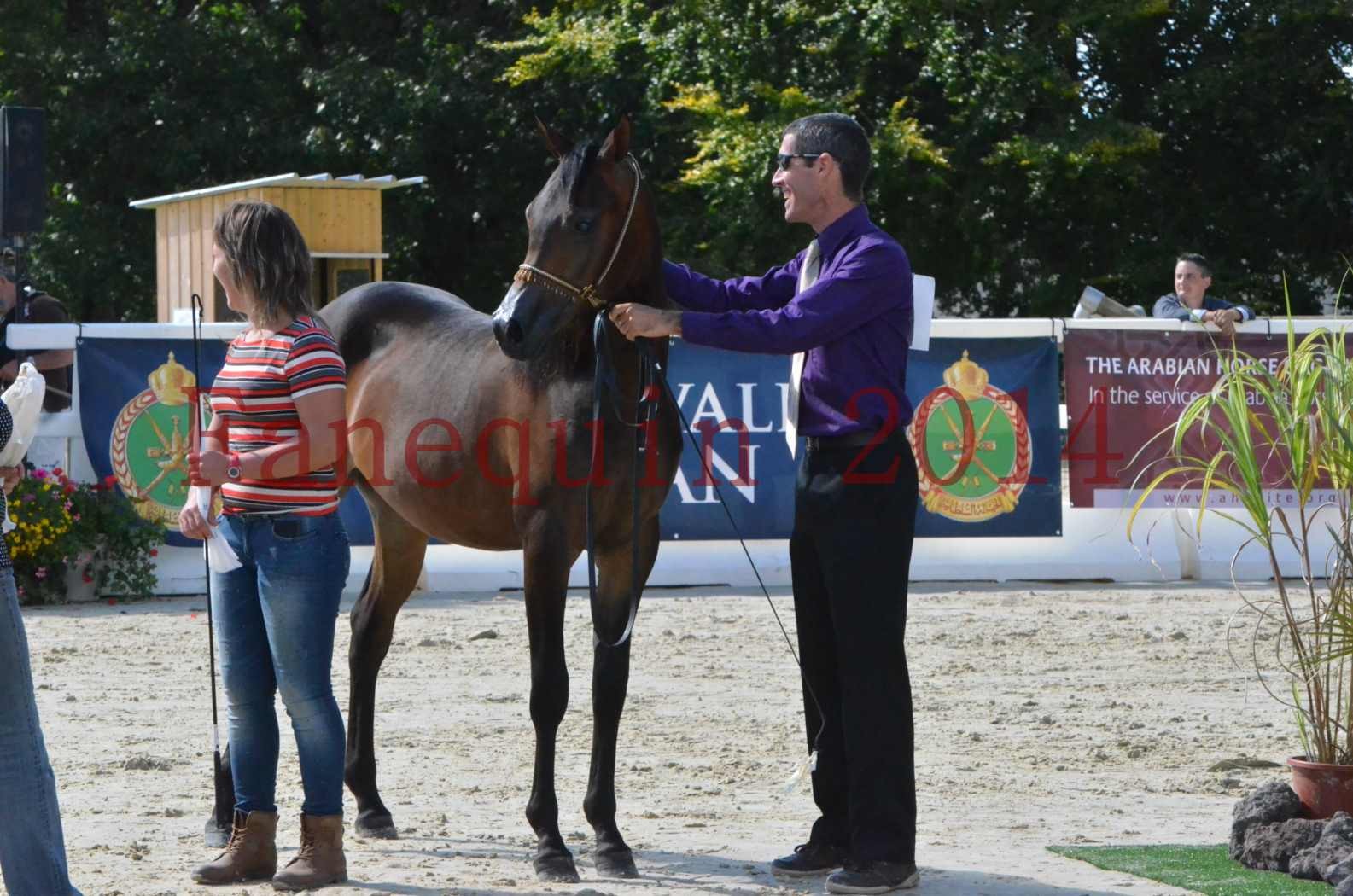 Championnat de FRANCE 2014 - Amateurs - SH FARAJAA - 51