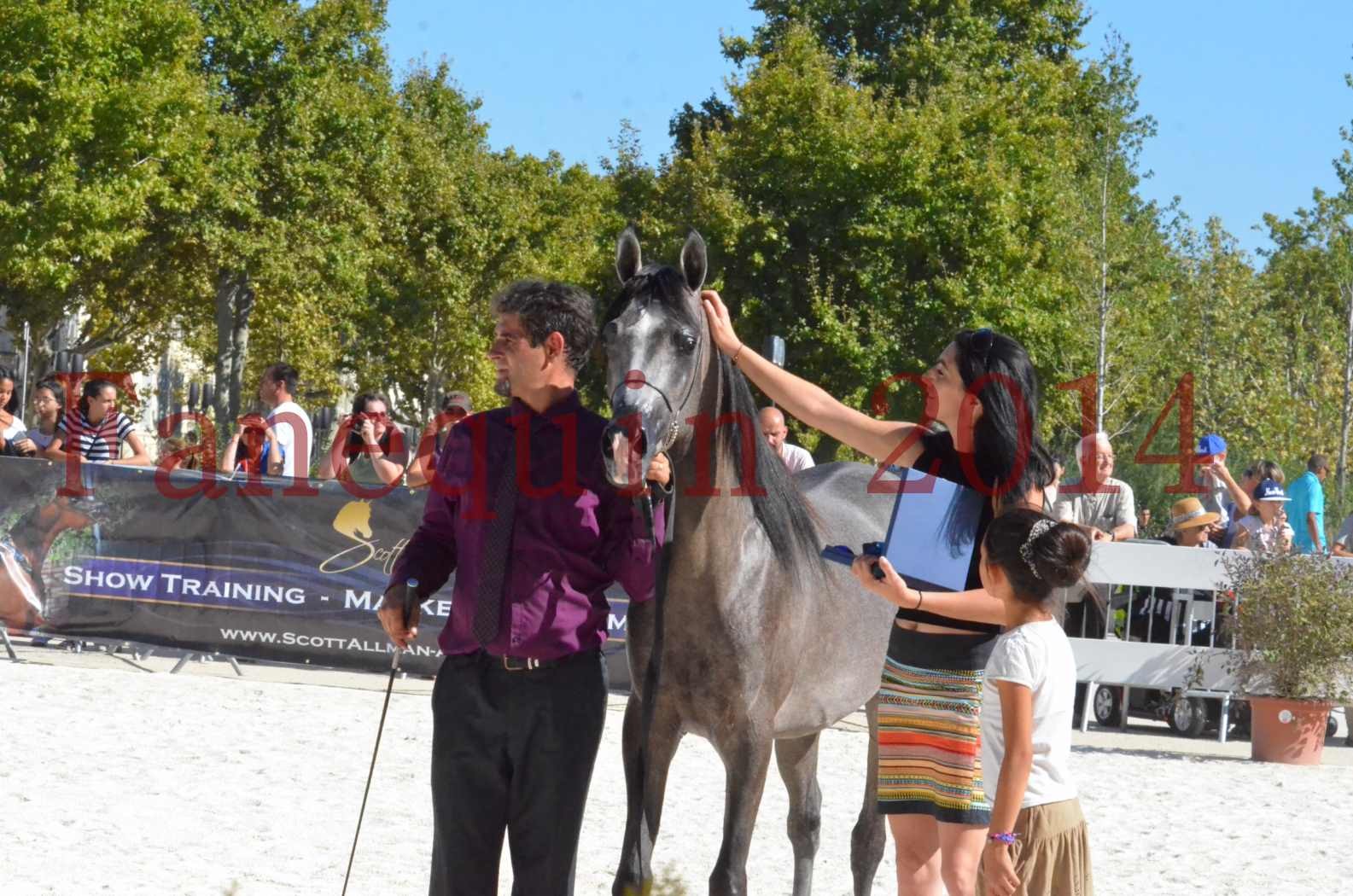 Concours National de Nîmes de chevaux ARABES 2014 - Championnat - JOSEPH'S BOUZIOLS - S 20